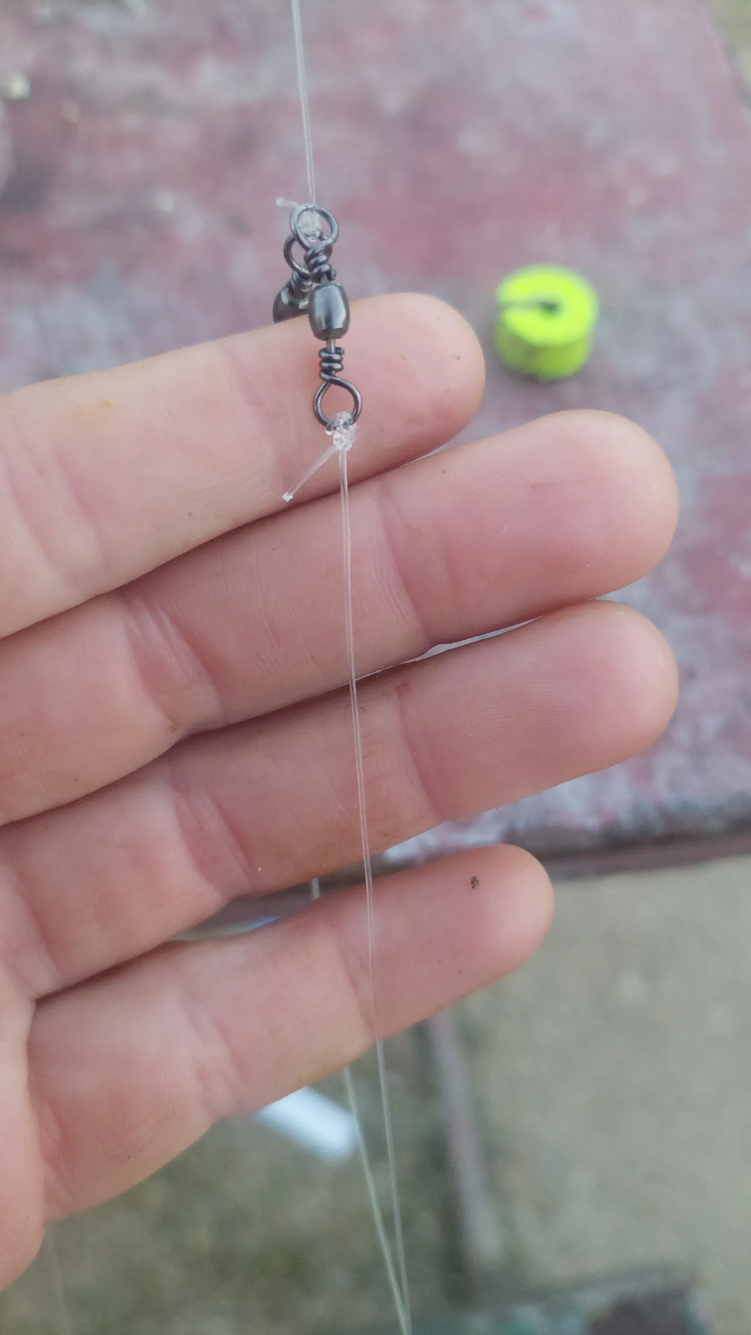Close-up of the palomar knot connecting the hook line to the leader