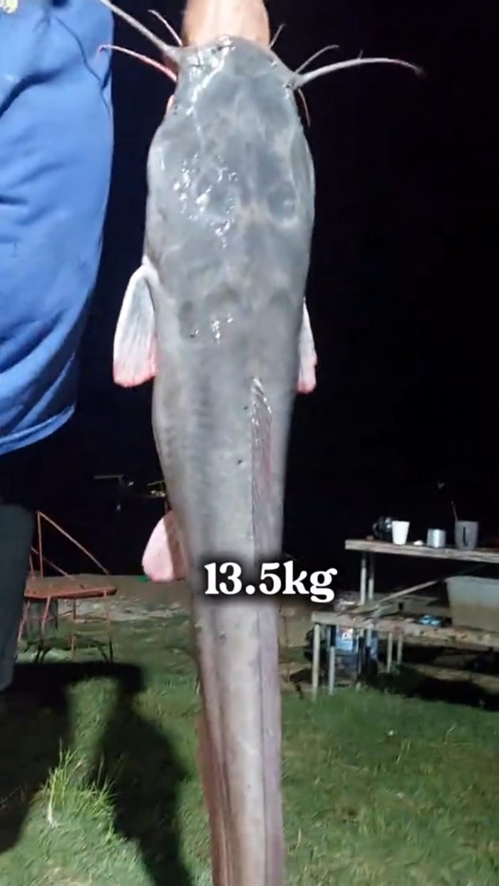 Justin holding his 13.5kg catfish